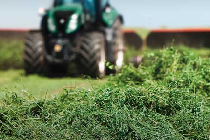 SiloSolve MC – dla optymalnej higieny paszy